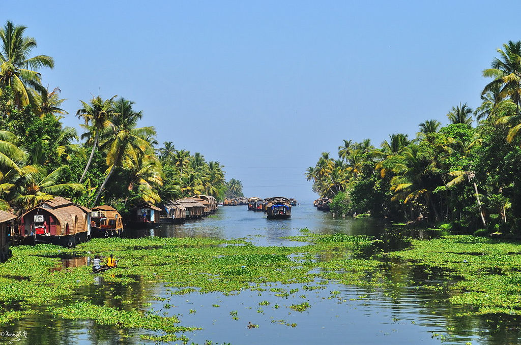 kerala backwater